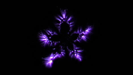 Kirlian-photography-of-the-electromagnetic-discharge-of-a-cross-section-of-Star-Fruit