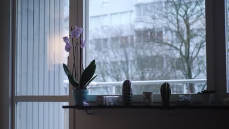 Rosafarbene-Orchideenblume-Am-Wohnungsfenster-Neben-Kaktusdekorationen-Und-Kleinen-Kerzen,-An-Einem-Bewölkten-Wintertag,-Handgehaltener-Weitschuss