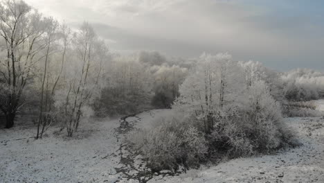 Frozen-trees-landscape,-frost-in-forest,-sun-shine-through-clouds,-aerial-panorama