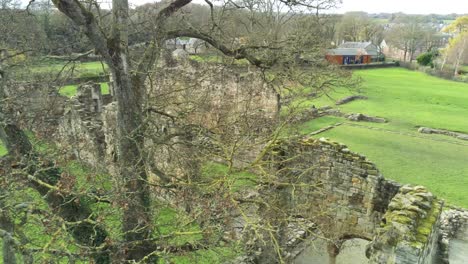 Basingwerk-abbey-landmark-medieval-abandoned-Welsh-ruins-Aerial-view-parallax-right-passing-tree