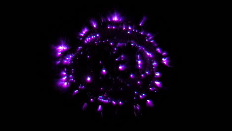 Kirlian-photography-of-cross-section-of-squash