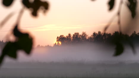 Panoramic-view-of-fields-shrouded-in-fog-at-sunset