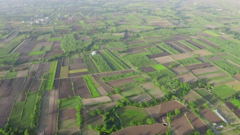 Aerial-view-of-Agriculture-Farm-Land