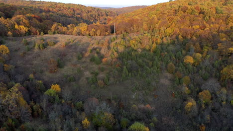 Autumn-In-The-Forest-aerial-view