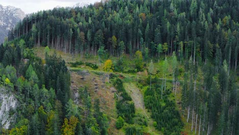 Drone-shot-of-the-side-of-mountain-road-with-trees-aside-at-Eisenkappel-Vellach,-Austria