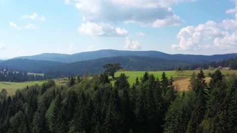 Luftaufnahme-über-Einem-Wald,-Der-Sich-Nähert-Und-Dann-Die-Heilige-Kiefer-In-Kamena-Gora,-Serbien,-Umkreist