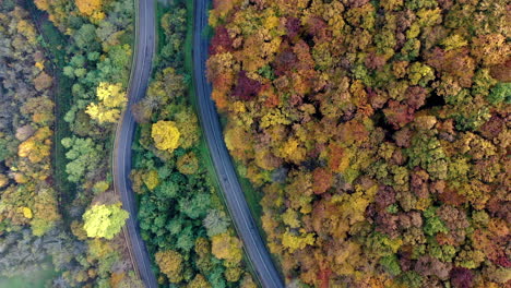 top-view-Road-through-the-forest