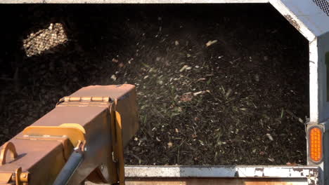 Close-up-of-wood-chips-expelled-from-chute-of-wood-chipper-into-the-back-of-a-truck-in-slow-motion