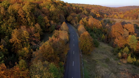 Luftaufnahme-Herbst-Im-Wald-Und-Auf-Der-Straße-In-Ungarn