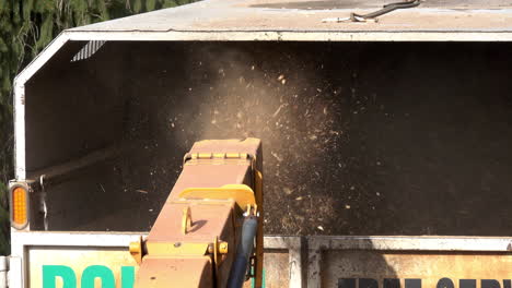 Close-up-of-wood-chips-expelled-from-chute-of-wood-chipper-into-the-back-of-a-truck