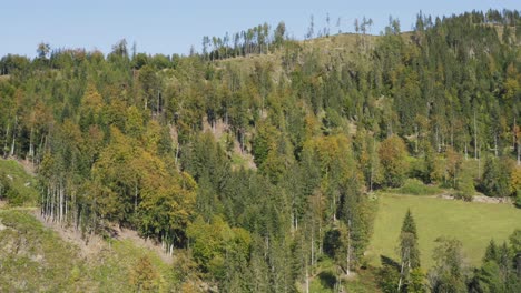 Wald-In-Den-Bergen-Mit-Einer-Drohne-Bei-Eisenkappel-Vellach,-Österreich