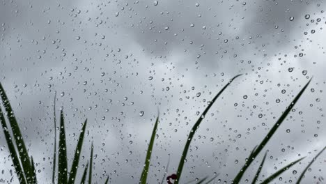 Regentropfen-Auf-Einem-Fenster-An-Einem-Stürmischen-Tag