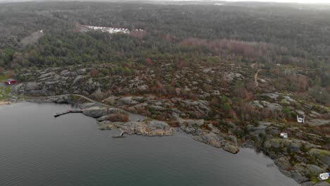 Aerial-of-large-coastal-area-with-rocky-surface-and-green-tree-forest