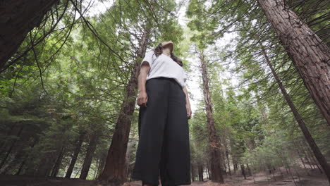 Mächtiges-Spanisches-Mädchen-Der-Königin-Im-Sequoia-Wald-Spanien