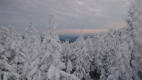 Schneebedeckte-Nadelbäume-Gegen-Bewölkten-Himmel-Während-Der-Wintersaison-In-Orford-Quebec,-Kanada---Nach-Unten-Kippen
