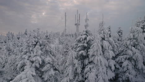 Bosque-De-Montaña-De-Invierno-Con-Densos-Pinos-Cubiertos-De-Nieve-Fresca-En-Orford,-Quebec,-Canadá