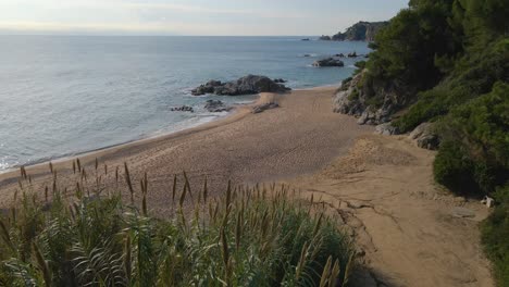 Mediterranean-Beach-Paradisiaca-Turquoise-Blue-Waters-No-People-Aerial-View-Drone-Spain-Catalunya-Costa-Brava-Blanes-Lloret-De-Mar-Mallorca-Balearic-Islands