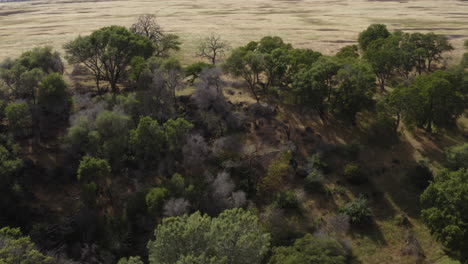 Lush-Ravine-in-Oroville,-California-Desert-Landscape,-Aerial-Drone-View