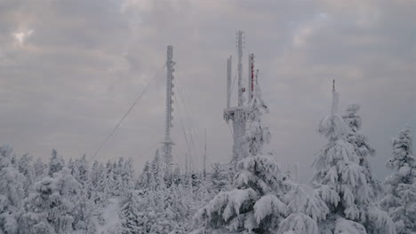 árbol-Conífero-En-El-Bosque-Y-Torres-De-Antena-En-La-Estación-De-Esquí-De-Mont-Orford-Cubierta-De-Nieve-Durante-El-Invierno-En-Quebec,-Canadá