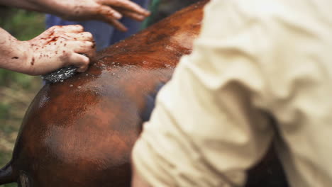 Rural-butchers-cleaning-scorched-pig-ham-for-further-butchering---Close-up