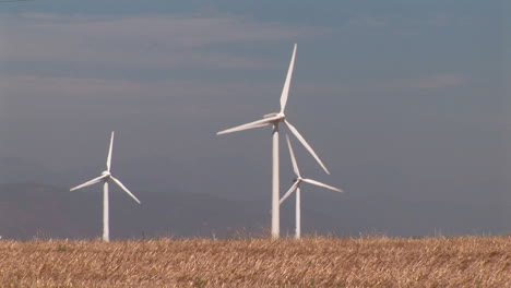 Wind-turbines-in-wheat-fields