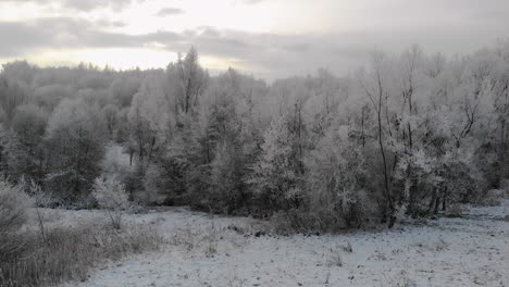 Frozen-woods,-frost-on-trees-aerial-wintertime-view,-snow-covered-landscape