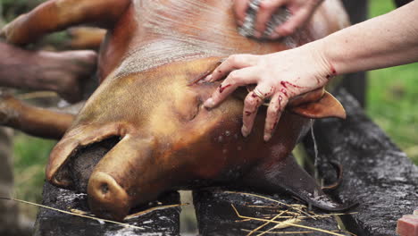 Metzger,-Die-Das-Verbrannte-Fell-Und-Den-Staub-Vom-Schweinekadaver-Auf-Einem-Ländlichen-Tisch-Reinigen---Nahaufnahme