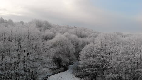 Gefrorener-Wald,-Frost-Auf-Bäumen,-Atemberaubende-Winterlandschaft-Aus-Der-Luft