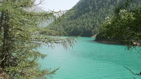 Beautiful-blue-water-of-a-alpine-lake