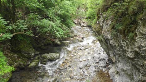 Erfrischender-Fließender-Fluss,-Der-Sich-Durch-Luftbild-Der-Rauen-Felsigen-Canyon-Wildnis-Vegetation-Bewegt