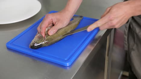 Man-fillets-raw-fish-with-sharp-knife-on-kitchen-counter,-static-medium-shot