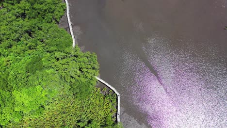 Sunlight-Reflection-On-Calm-River-Water-In-Negros-Oriental,-Philippines---top-down-drone,-ascending