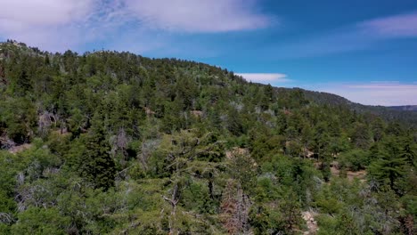 Luftaufnahme-In-Der-Nähe-Des-Green-Valley-Lake-In-Kalifornien