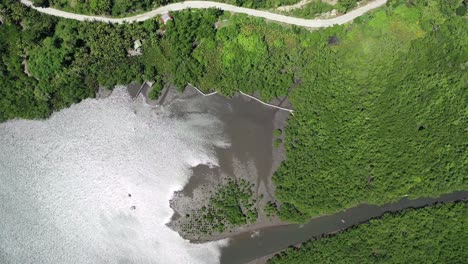 Aerial-"bird-eye"-view-of-a-coast-with-green-landscape-in-Negros-Oriental,-Philippines,-and-a-mouth-of-the-river