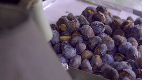 Roasting-Fresh-Chestnuts-on-the-Portugal-street