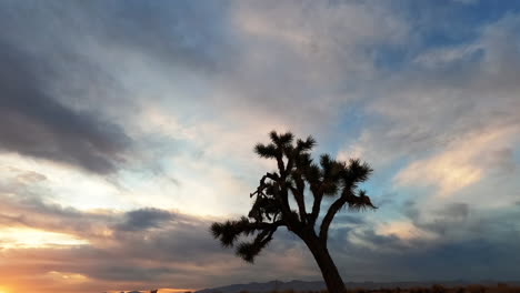 A-lonely-Joshua-tree-in-silhouette-as-time-transitions-in-a-brilliantly-colorful-and-dynamic-day-to-sunset-to-night-holy-grail-time-lapse