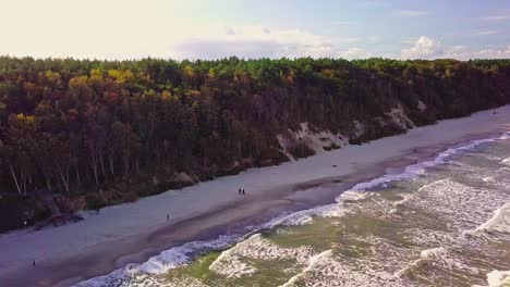 Autumn-Trees-and-Sandy-Beach-Drone-Shot