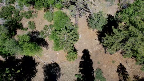 Aerial-shot-near-Green-Valley-Lake-in-California
