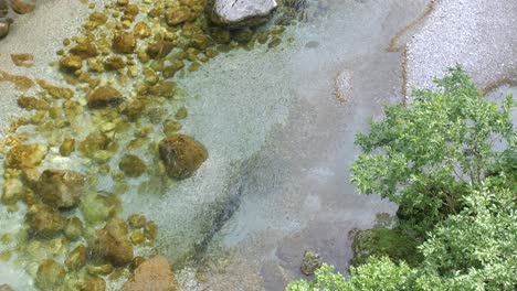 right-pan-from-clear-mountain-river-with-rocks-to-pebbled-beach-with-trees