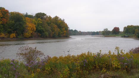 Gewundener-Fluss,-Umgeben-Von-Herbstbäumen---Statische-Herbstnatur