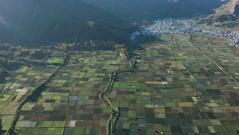 Famous-Bukit-Selong-rice-fields-in-valley-of-tropical-island-Lombok,-aerial