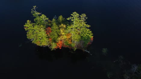 Luftaufnahme-Der-Seeinsel-Mit-Hain-In-Herbstfarben-Und-Ruhigem-Blauem-Wasser-An-Sonnigen-Tagen,-Drohnenaufnahme