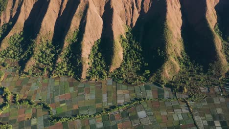 Einzigartiger-Kontrast-Zwischen-Natürlichem-Lebensraum-Und-Künstlichen-Mustern-Von-Reisfeldern