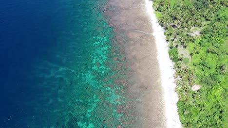 Aerial-view-of-a-beach-with-turquoise-sea-in-Negros-Oriental,-Philippines,-paradise-for-holidays