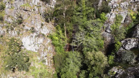 Barbelote-Waterfall-in-Monchique-near-the-Fóia,-Algarve,-Portugal---Dronie-Reveal-Aerial-shot