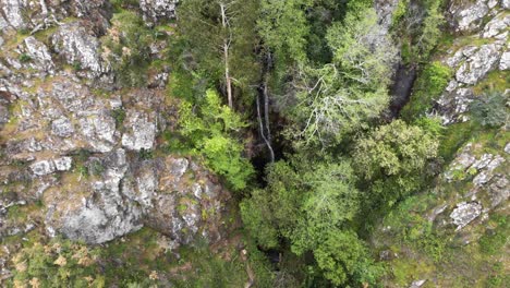 Aerial-4k-drone-footage-pulling-back-from-the-majestic-Monchique-waterfall-in-Portugal-peeking-through-the-surrounding-jungle-vegetation