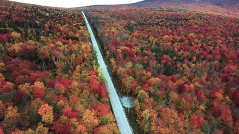 Aerial-View-of-Magical-Colorful-Autumn-Landscape,-Vivid-Forest-and-Straight-Road-in-American-Countryside,-Drone-Shot