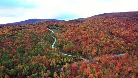 Aerial-View-of-Countryside-Roads-in-Colorful-Fairy-Tale-Autumn-Landscape,-Vivid-Forest-Lush,-Drone-Shot