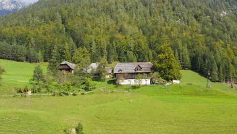Aerial-View-Past-Wooden-Timber-Lodge-On-Foot-Of-Forested-Hillside-In-Slovenia