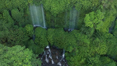 Lush-jungle-in-Lombok-with-fresh-water-flowing-down-green-wall,-aerial
